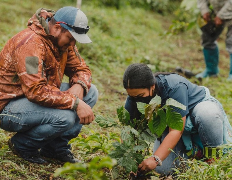 Se plantaron 300 plantones de las especies de guabo, cigua, bambito  y ciruelillo. Foto: Mayra Madrid