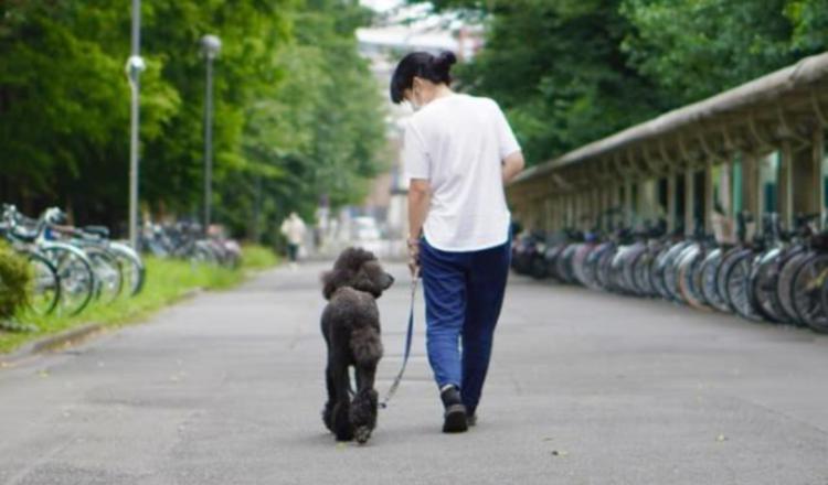 Los perros al emocionarse lloran. Foto: EFE