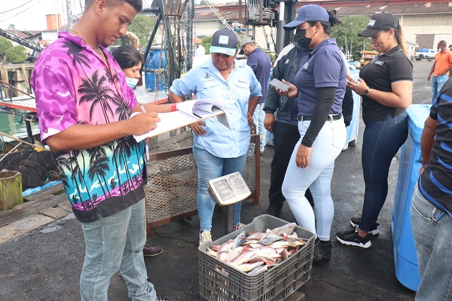  Se decomisaron 502 libras de pescado y 89 libras de langostinos a la motonave. Foto: Cortesía ARAP