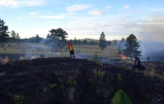 Datos de la Sección de Verificación del Desempeño Ambiental (Seveda) dan a conocer que este año, en la provincia, se afectaron en menor escala unas cien hectáreas localizadas en puntos cercanos y zona de amortiguamiento a las áreas protegidas. Foto. Ilustrativa