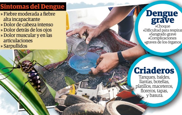 Panamá acumula más de 3,831 casos de dengue a nivel nacional. Foto: Epasa