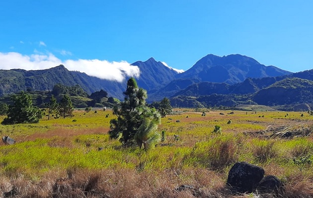 Vista del Parque Nacional Volcán Barú. Foto: MiAmbiente