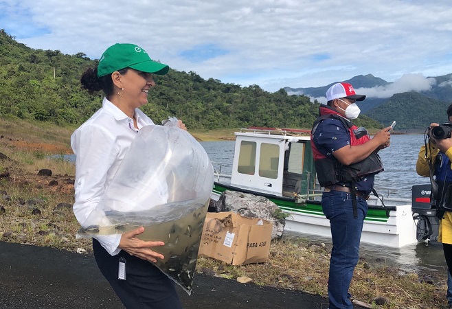 Enel Green Power compró los peces a la ARAP y la institución dará la asistencia técnica requerida. Foto: Cortesía ARAP