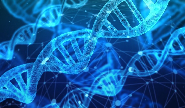 La genética ha revolucionado todos los campos de la medicina.  Pixabay