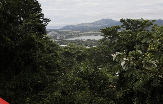 Vista panorámica desde la cima del Cerro Ancón. Foto: MiAmbiente 