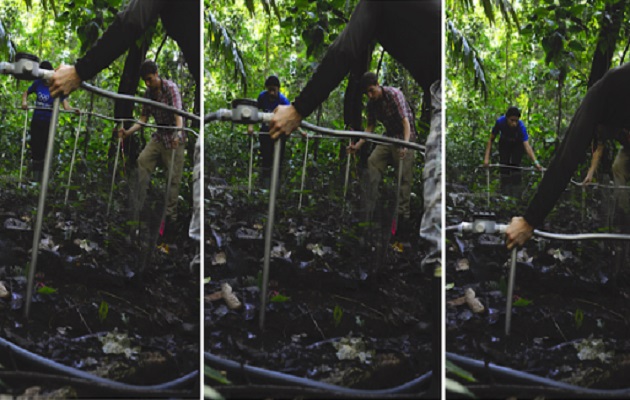El sistema de calefacción subterráneo está instalado en las parcelas forestales en Isla Barro Colorado. Foto: Smithsonian