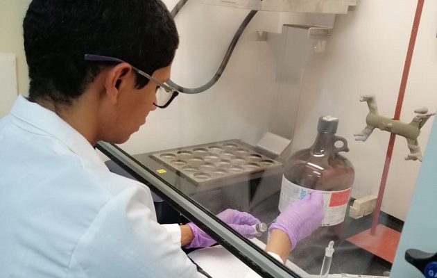 [VIDEO] ¿Deben preocuparnos las micotoxinas encontradas en el arroz panameño?