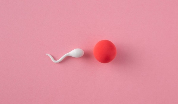 La sífilis está entre las ITS que más impactan la salud sexual y reproductiva de los panameños. Foto. Ilustrativa / Freepik