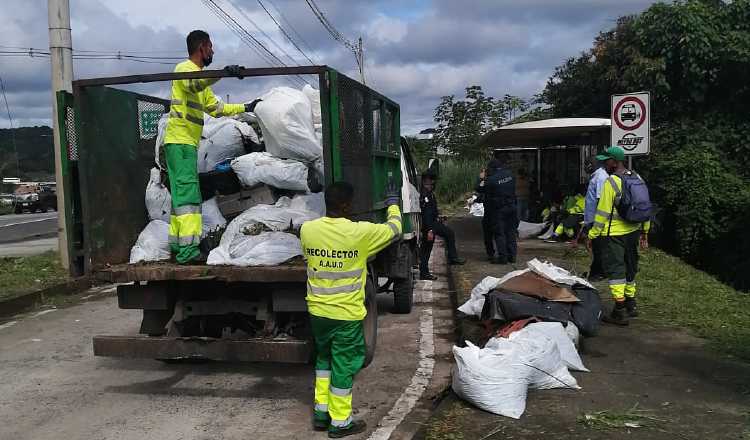 Pedro Castillo reconoció que debe mejorar la recolección. Cortesía