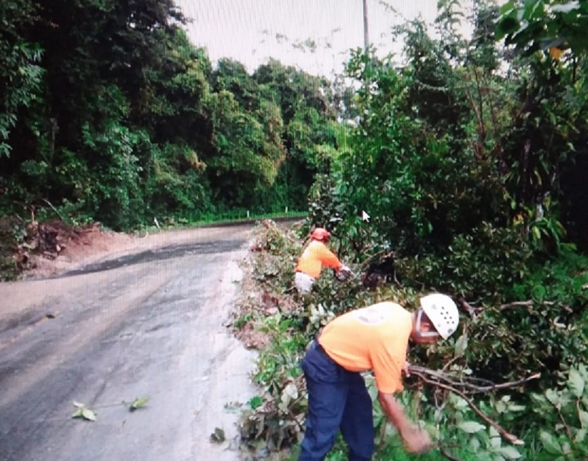 En la región las lluvias crecieron los afluentes y vientos tumbaron árboles. Foto: Eric A. Montenegro