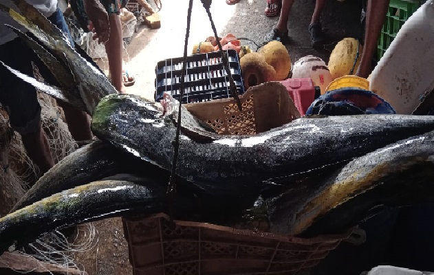 Hacen un llamado para que todo afectado denuncie la pesca ilegal que afecta la economía de aquellos que sí están haciendo las cosas correctamente. Foto. Cortesía Arap