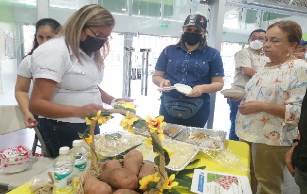 Los productores han manifestado que esta variedad da buenos resultados por hectárea, es resistente a plagas y de muy buen sabor. Foto. Thays Domínguez