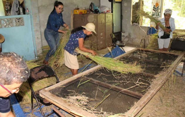 Muchas familias de la comunidad obtendrán alimentos necesarios con este programa. Foto / MIDA. 