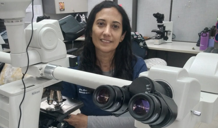 La patóloga e investigadora, Marina Pacheco, lidera en el Complejo Hospitalario Dr, Arnulfo Arias Madris  en Panamá el estudio observacional de sarcoma de SELNET. Cortesía
