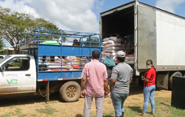 La respuesta alcanza a 14 productores de la comunidad La Porqueriza, ubicada en el corregimiento de La Villa de Los Santos. Foto: Cortesía