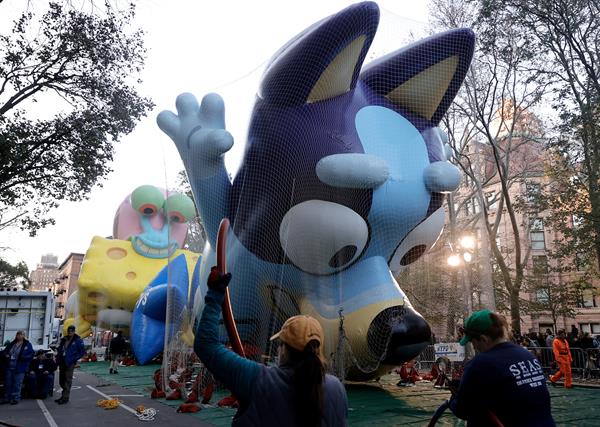 Técnicos inflan el globo 'Bluey' en la víspera al Desfile del Día de Acción de Gracias de Macy's, en Nueva York (EE.UU.)