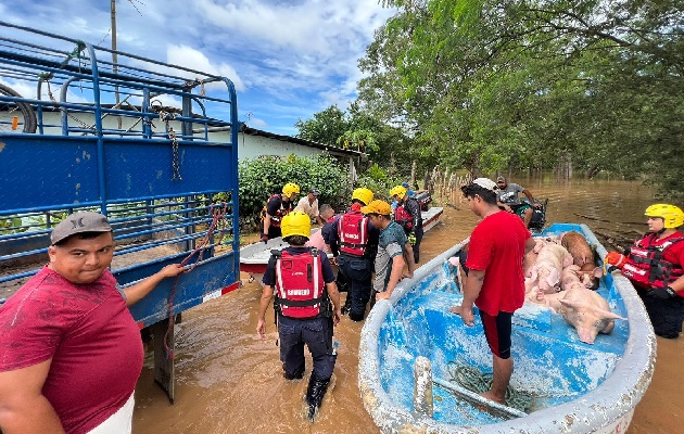 Las inundaciones se dieron en menos de 10 días entre el 9 y el 18 de noviembre, y ambas afectaron el sector de las porquerizas, por lo que los porcinocultores piden ser indemnizados. Foto. Thays Domínguez