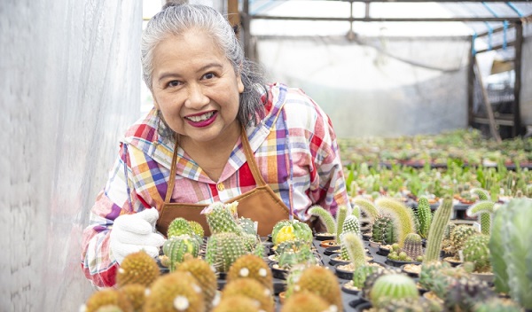 Las mujeres lideran el mercado en Panamá, Colón y en las provincias occidentales. Foto: Ilustrativa / Freepik