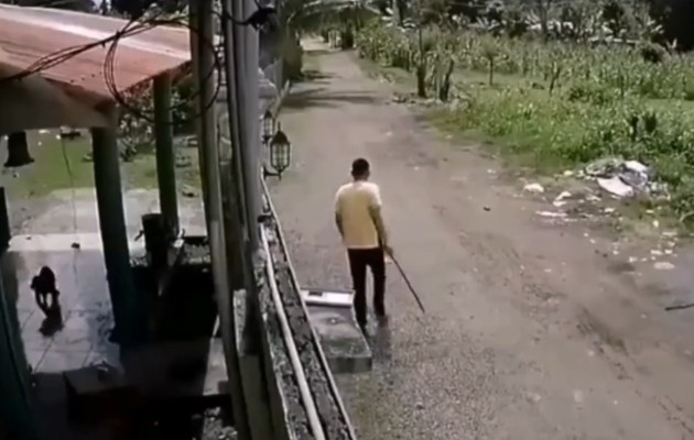 El hecho fue captado por la cámara de seguridad de una vivienda. 
