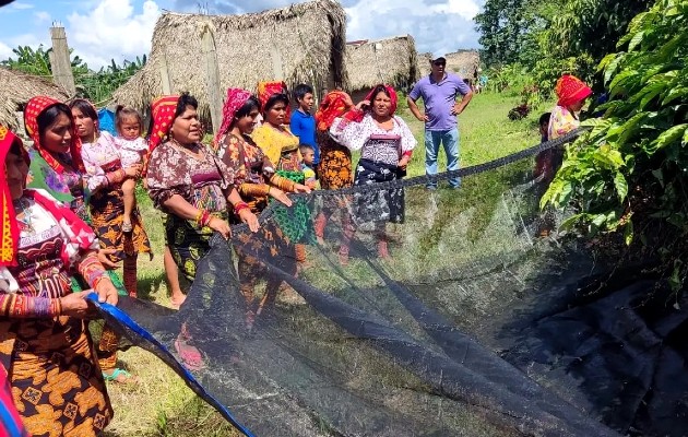 Se orienta a los productores a mejorar las cosechas usando técnicas amigables con el ambiente. Foto / Diómedes Sánchez.