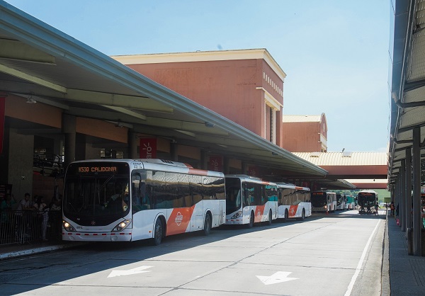 La flota de MiBus está compuesta por 1,436 buses, la mayoría con 11 años de servicios. Foto: Cortesía MiBus