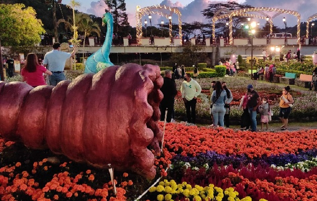 Los jardines están preparados por las expertas manos de los trabajadores del campo, para que estén en plena floración para la fecha de la feria. Foto Cortesía