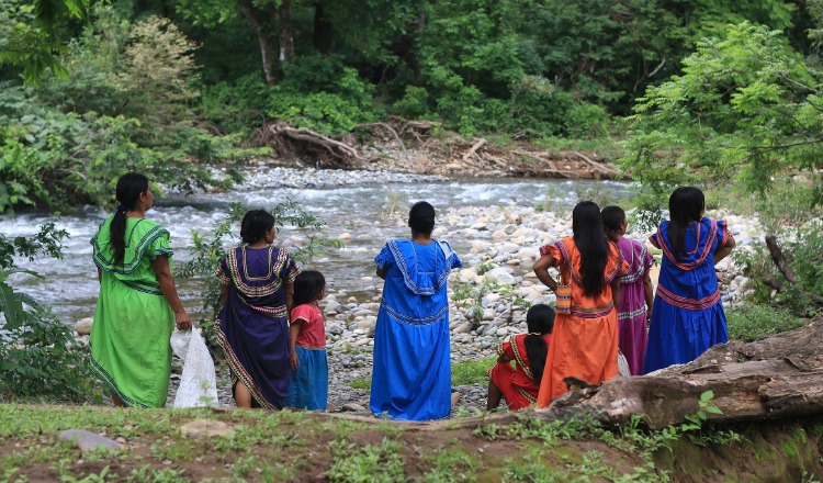 Un 29% de las mujeres indígenas en la región realizan trabajo familiar no  remunerado, detalla informe de la OIT. Pixabay