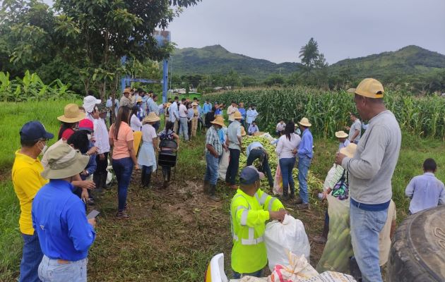 2,500 jóvenes participan del verano complementario atendidos por 204 profesores de la especialidad agropecuaria.