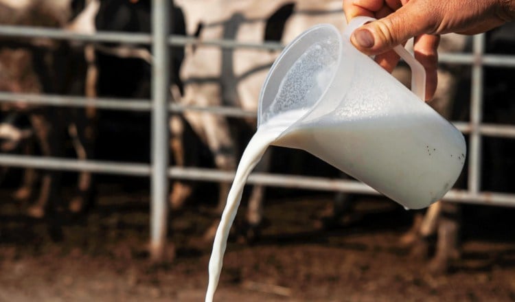 En la actualidad existen diferentes tipos de pasteurización, que buscan preservar la salud. EFE