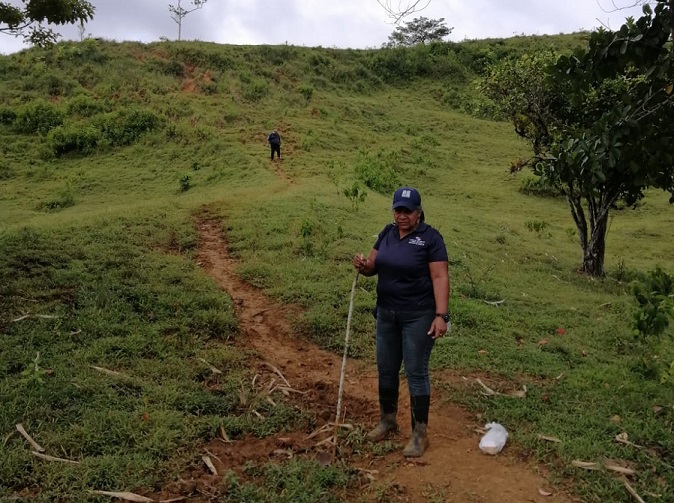 Este caso fue atendido por la Sección de Seguridad Hídrica y Forestal de MiAmbiente. Foto: Diomedes Sánchez