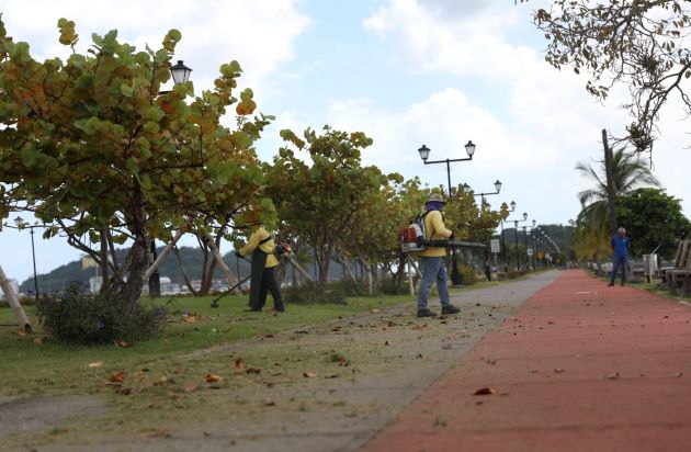 Para la semana del 20 de enero se iniciará la rehabilitación de 65 kilómetros de vía en la ciudad de Panamá, incluyendo la Ave. Balboa.