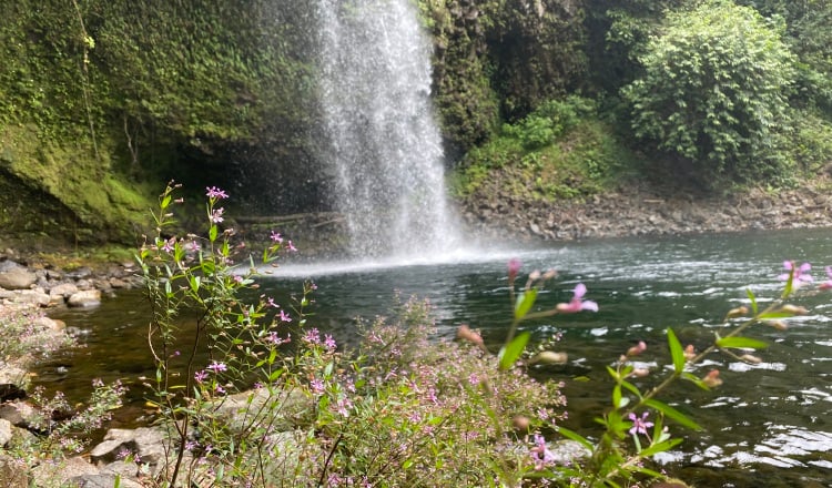 Esta es la segunda cascada que tiene el mismo afluente a pocos metros una de la otra.