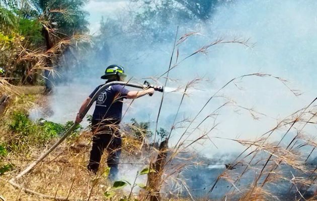 Se recomienda evitar la  quema como método de limpieza. Foto: Cortesía