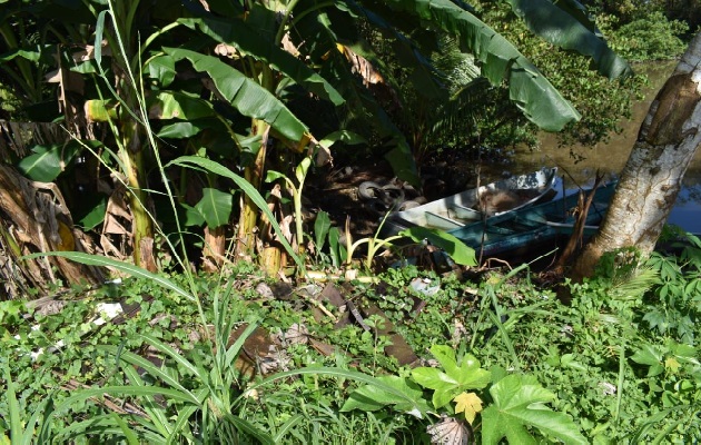 Patricio Camarena, jefe del departamento de vectores del Minsa, dijo que el año pasado hubo 233 casos de dengue en Chiriquí. Foto. José Vásquez