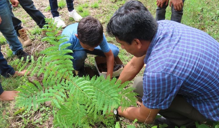 La Educación Ambiental  juega un papel esencial para el modelaje de conductas que favorezcan el entorno. Foto: Archivo