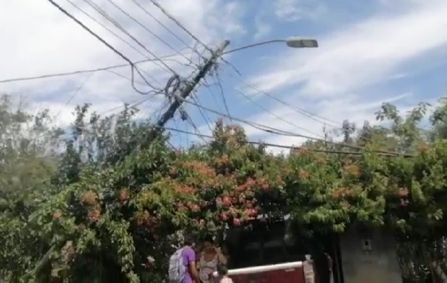 Se recomienda a la población alejarse de árboles y del tendido eléctrico. Foto. Mayra Madrid