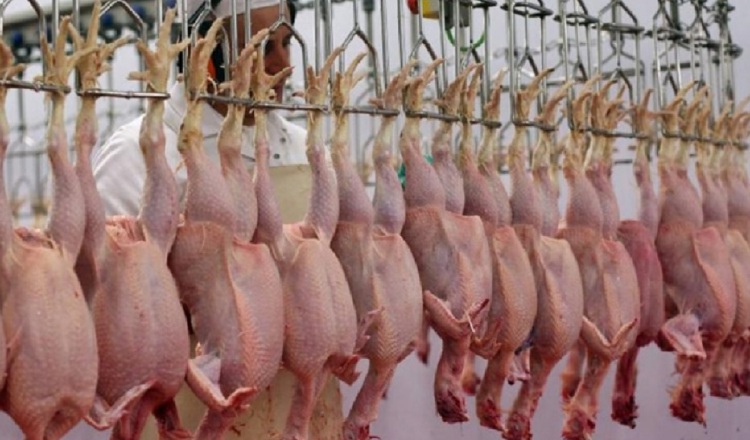 Las proyecciones internacionales indican que el consumo de pollo podría aumentar a nivel mundial.