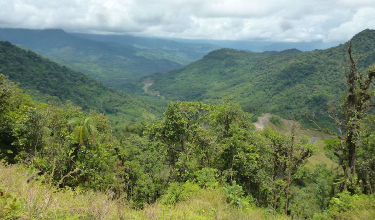 Habrá una vereda artesanal, donde estarán más de 70 productores.