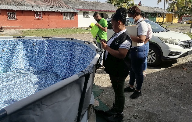 Las autoridades instan a los pobladores a eliminar de los criaderos de mosquito en sus casas y alrededores. Foto. Diomedes Sánchez Las autoridades instan a los pobladores a eliminar de los criaderos de mosquito en sus casas y alrededores. Foto. Diomedes Sánchez