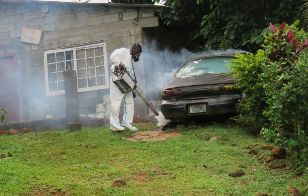 Es importante evitar los criaderos de mosquitos y fumigar. Foto: Minsa