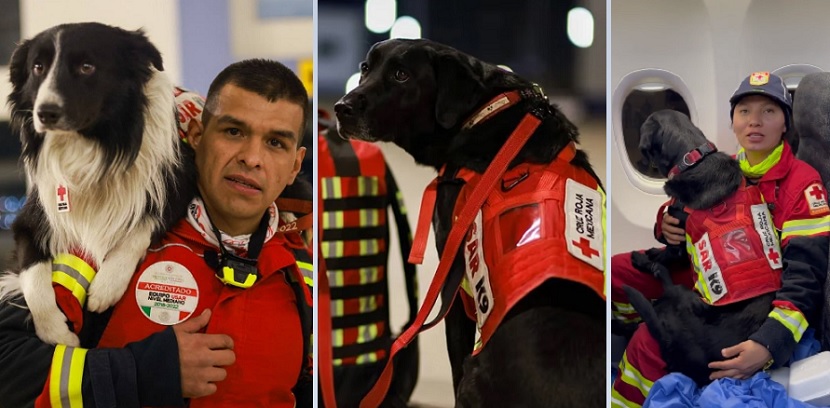 Binomio canino (perros y entrenadores). Foto: @m_ebrard