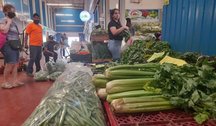 Entre las legumbres más conocidas y consumidas se destacan los frijoles, los frijoles blancos, las habas, los garbanzos, los guisantes o arvejas y lentejas. Cortesía