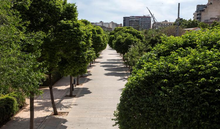 Las áreas verdes son reservorios de la diversidad biológica asociadas con los  espacios urbanos. EFE