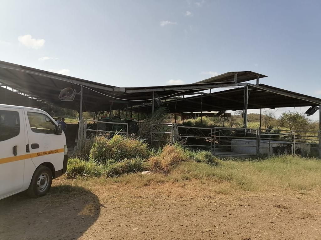 Los equipos de Epidemiología y Control de Vectores se han trasladado a las áreas donde se han dado los casos. Foto. Thays Domínguez