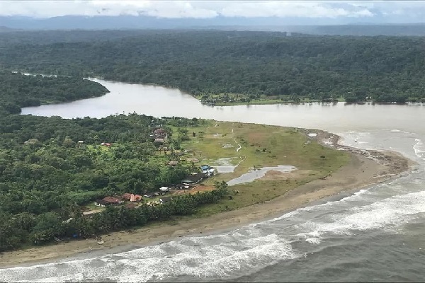 Se mantienen restricciones de movilidad de aves en Panamá Oeste y al Norte de Veraguas. Foto. Archivo