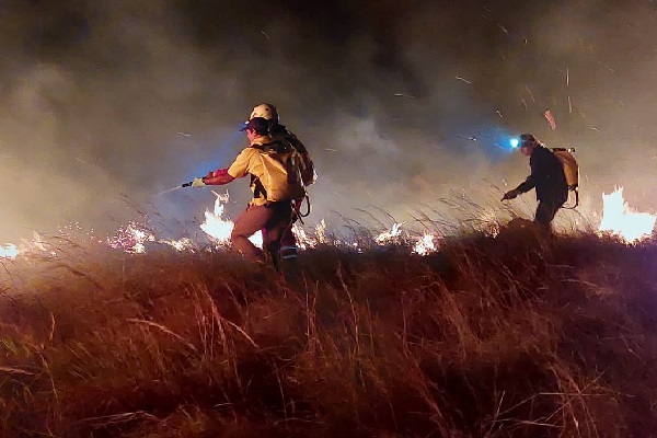 Este Incendio de Masa Vegetal se convierte en el primero del año, dentro de área protegida en la provincia de Chiriquí. Foto. Cuerpo de Bomberos