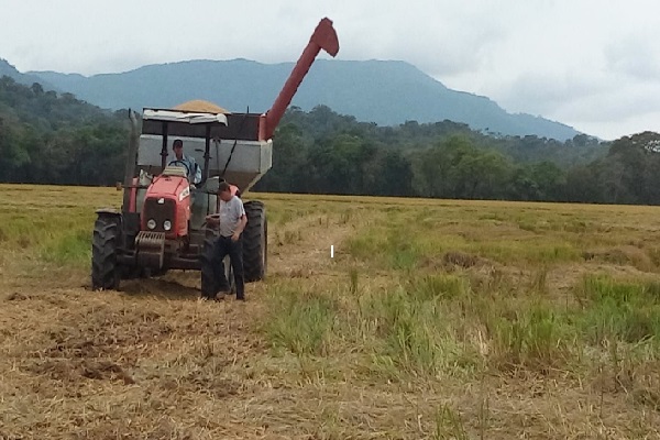 En la reunión de este miércoles participaron productores de Los Santos, Coclé, Chiriquí, Veraguas y Chepo. Foto. Melquíades Vásquez