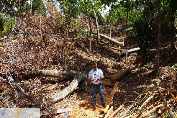 Las autoridades precisaron que no lograron ubicar a los infractores, pero han iniciado las investigaciones. Foto. MiAmbiente