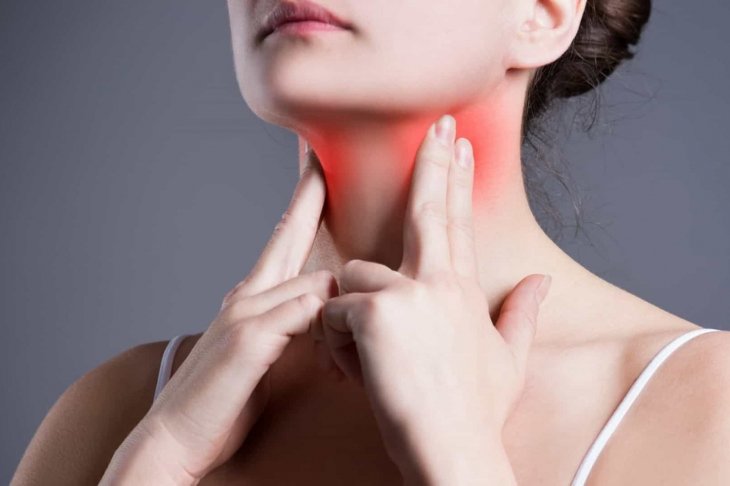 La glándula tiroides tiene la función de producir y liberar las hormonas tiroideas. Foto: Pexels