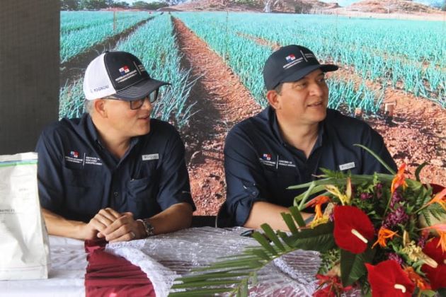 Manuel Martínez, productor de la comunidad dijo que actualmente cuenta con diez hectáreas de cebollas.